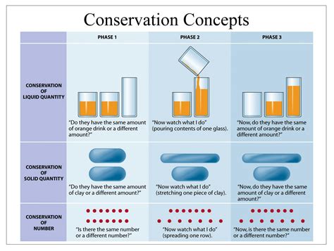 piaget reversibility.